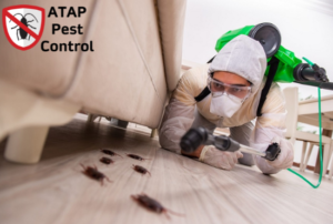 Where Does Pest Control Spray in Apartments