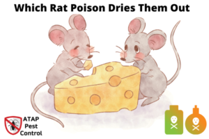 rat poison dries them out