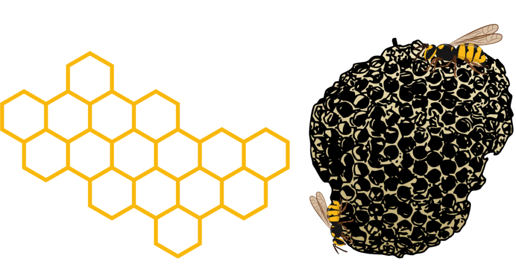 Beehive and Wasp Nest