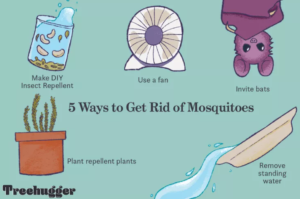 Rid Of Mosquitoes At Night