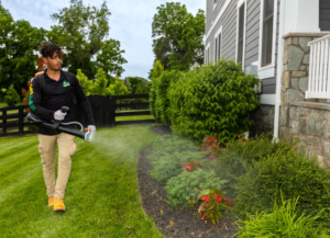Worth Spraying Your Yard For Mosquitoes